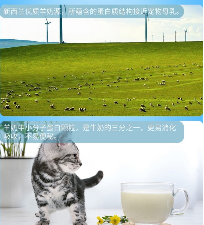BOTH 幼猫幼犬怀孕犬猫山羊奶粉 450g 提高免疫力