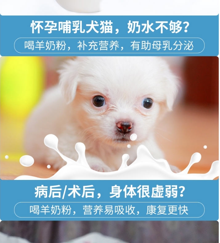BOTH 幼猫幼犬怀孕犬猫山羊奶粉 450g 提高免疫力