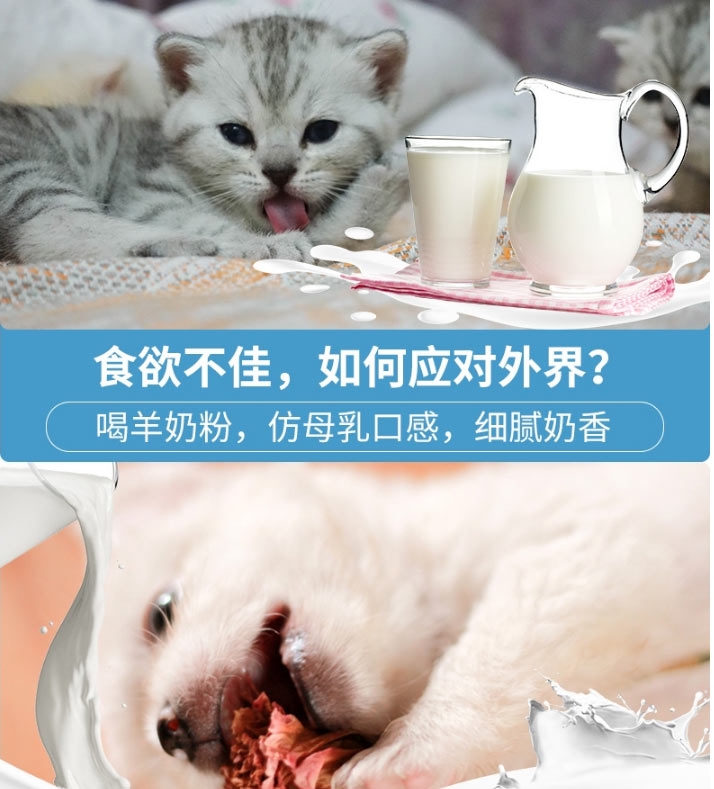 BOTH 幼猫幼犬怀孕犬猫山羊奶粉 450g 提高免疫力