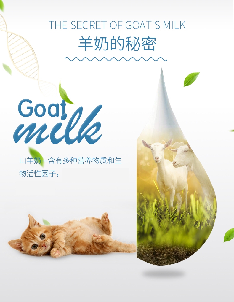 BOTH 幼猫幼犬怀孕犬猫益生菌山羊奶粉 450g