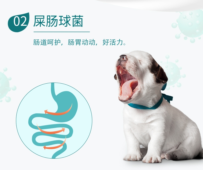 BOTH 幼犬山羊奶果冻布丁狗零食 15g*50粒桶装