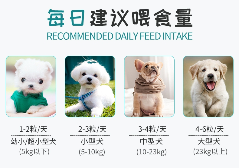 BOTH 幼犬山羊奶果冻布丁狗零食 15g*50粒桶装