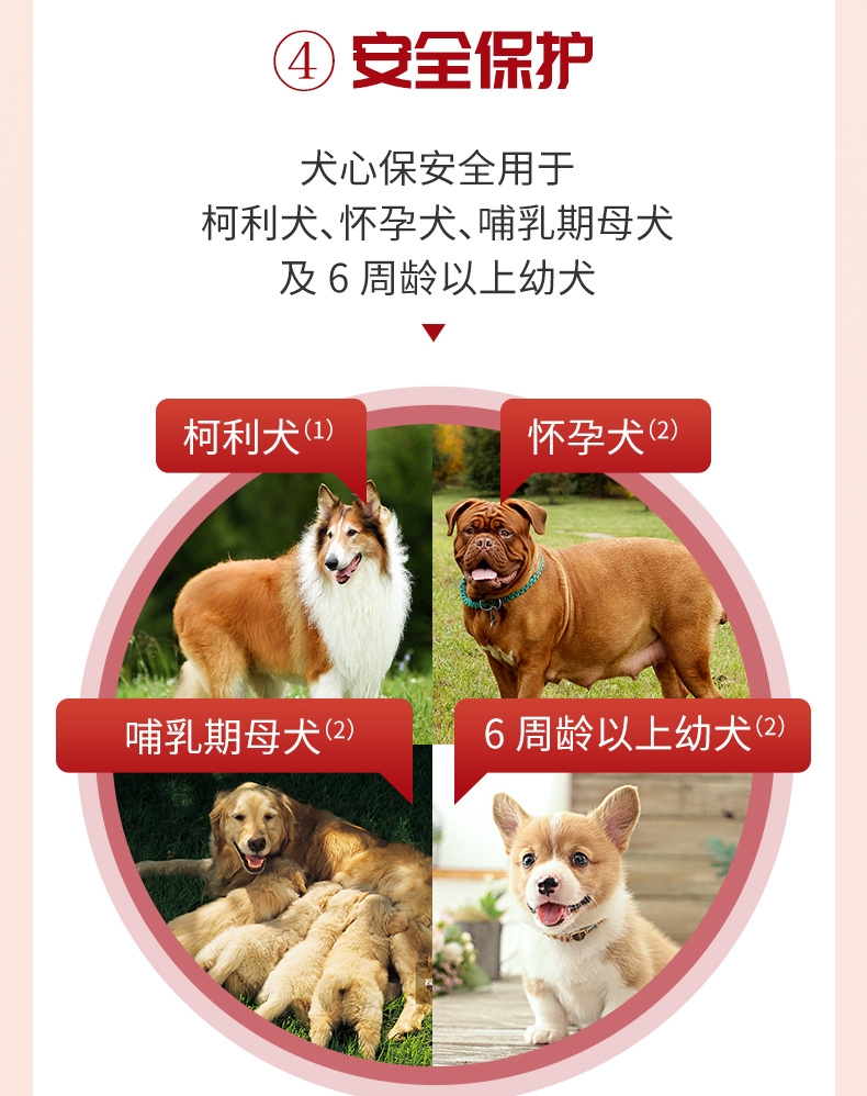 犬心保 犬用体内驱虫 口服 适用23kg-45kg大型犬 6粒整盒/6个月剂量 美国进口