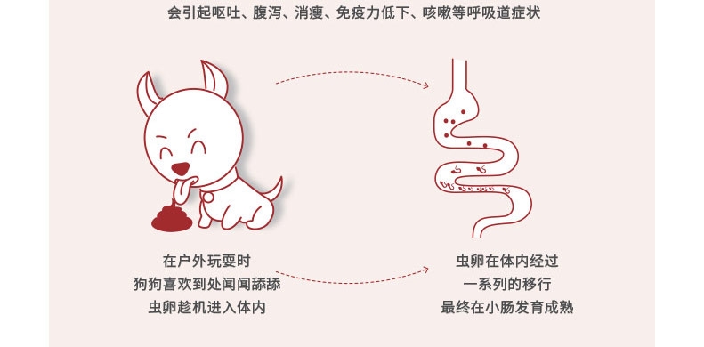 福来恩犬心保 牛肉块11kg内小型犬体内驱虫药单粒 蛔虫钩虫心丝虫打虫药