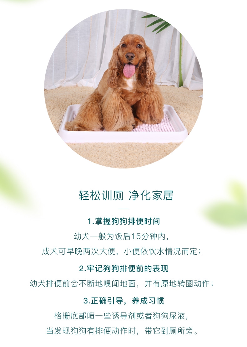 怡亲 平板网络式 狗厕所便盆 贵宾泰迪狗厕所 带垫板