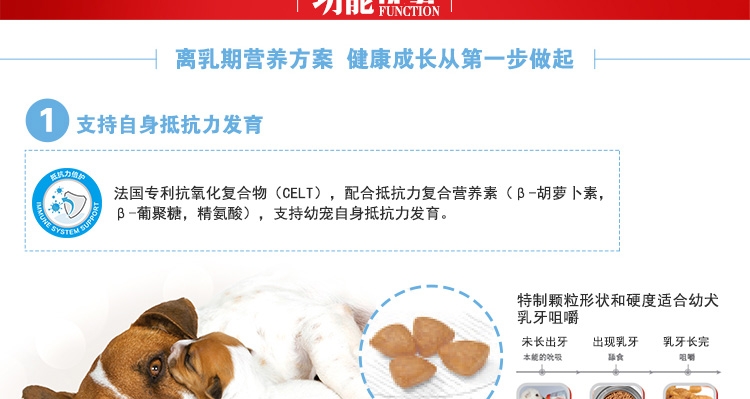 法国皇家ROYAL CANIN 小型犬粮怀孕哺乳离乳奶糕 3kg MIS30