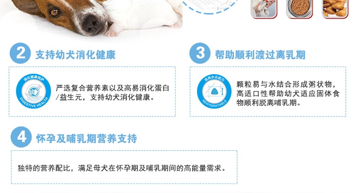法国皇家ROYAL CANIN 小型犬粮怀孕哺乳离乳奶糕 3kg MIS30