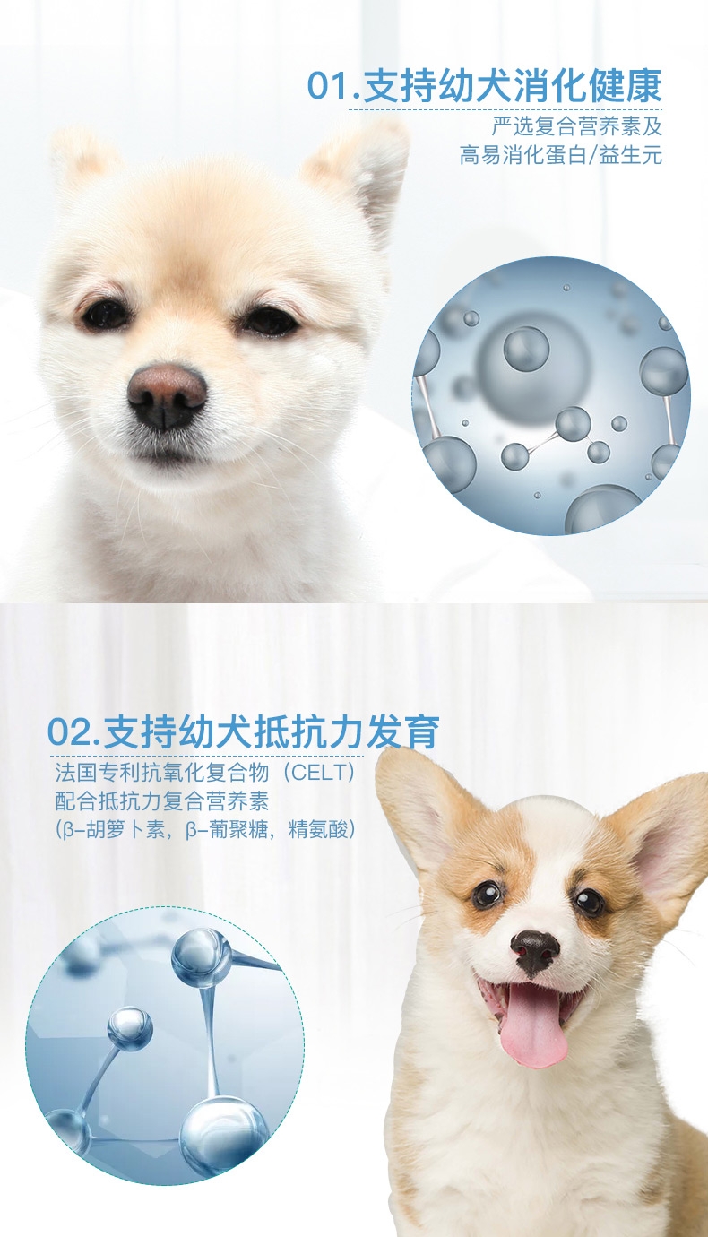 法国皇家ROYAL CANIN 小型犬粮怀孕哺乳离乳奶糕 3kg MIS30