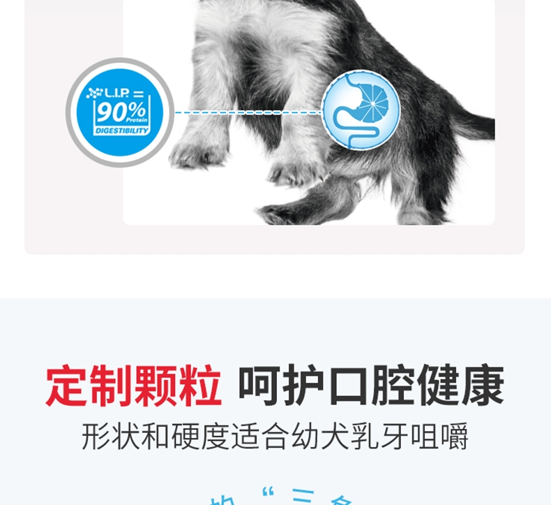 法国皇家ROYAL CANIN 小型犬粮怀孕哺乳离乳奶糕 3kg MIS30
