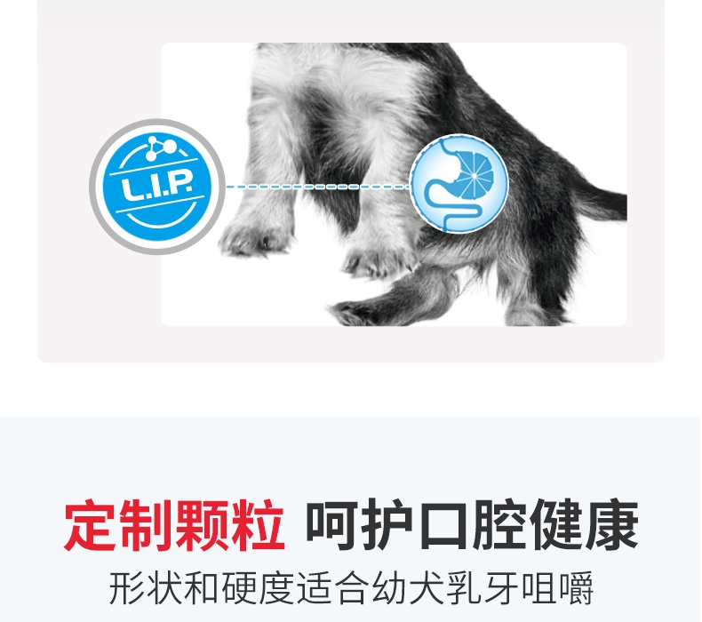 法国皇家ROYAL CANIN 小型犬粮怀孕哺乳离乳奶糕 3kg