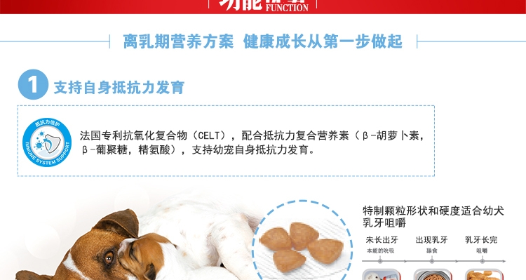 法国皇家ROYAL CANIN 小型犬离乳期奶糕1kg MIS30
