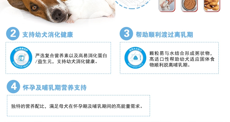 法国皇家ROYAL CANIN 小型犬离乳期奶糕1kg MIS30