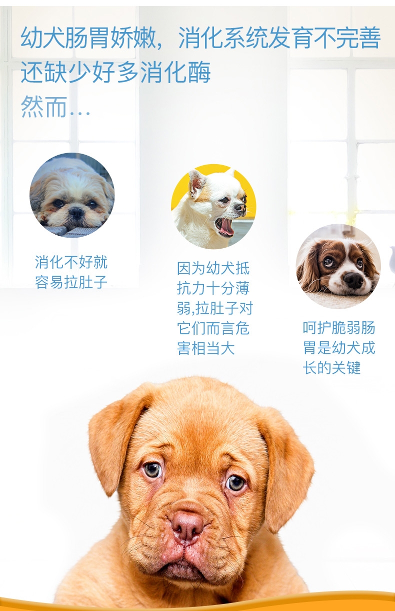 法国皇家ROYAL CANIN 小型犬离乳期奶糕1kg MIS30