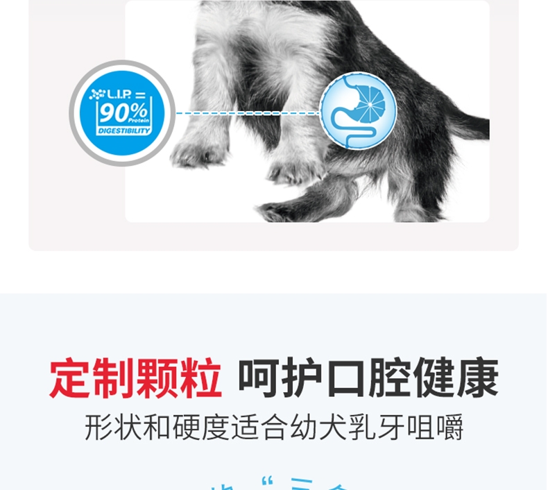 法国皇家ROYAL CANIN 小型犬离乳期奶糕1kg MIS30