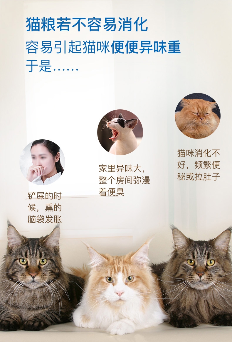 皇家ROYAL CANIN 室内成猫猫粮2kg i27