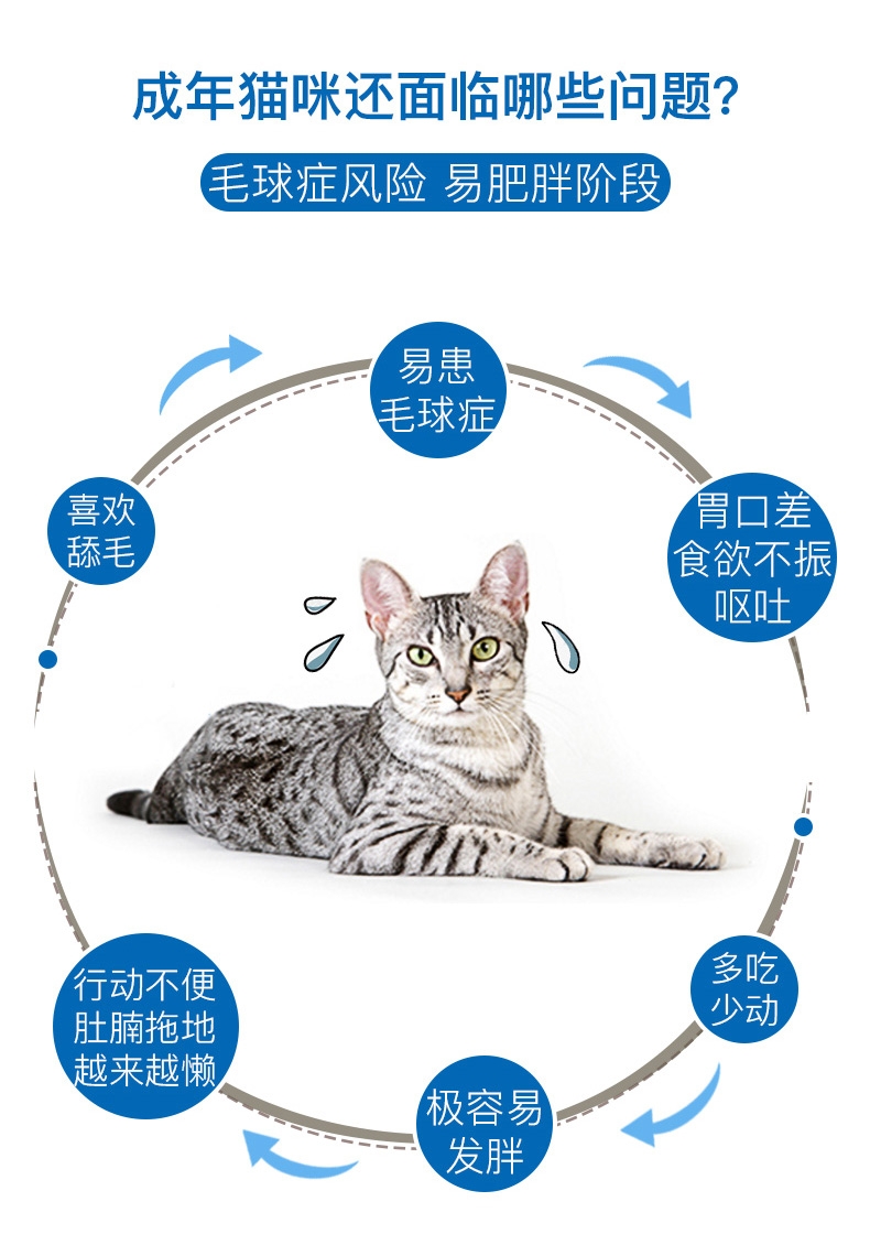 皇家ROYAL CANIN 室内成猫猫粮2kg i27