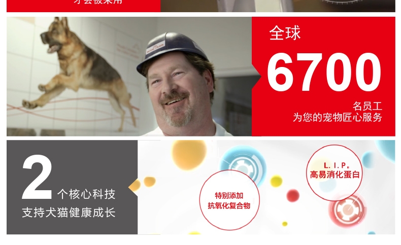 法国皇家ROYAL CANIN 室内成猫猫粮2kg i27