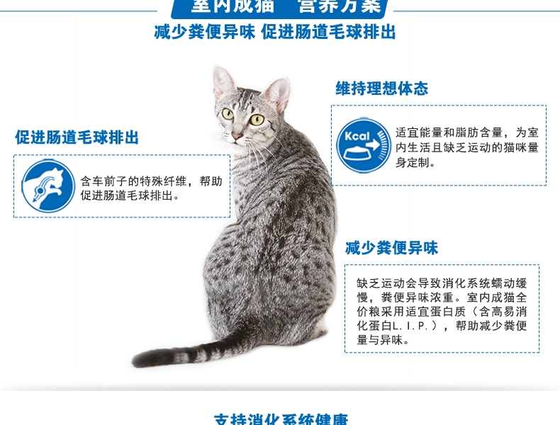 法国皇家Royal Canin 室内成猫猫粮 2kg i27