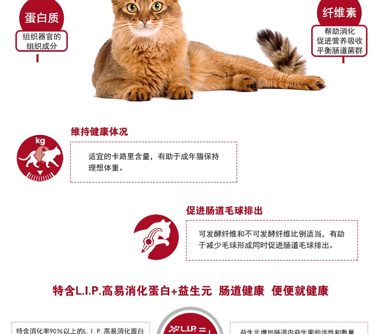 法国皇家ROYAL CANIN 理想体态成猫粮2kg F32