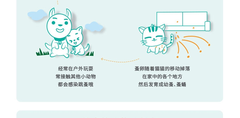 福来恩 猫用增效灭虱滴剂体外驱虫整盒装3支装 驱杀跳蚤蜱虫虫卵幼虫