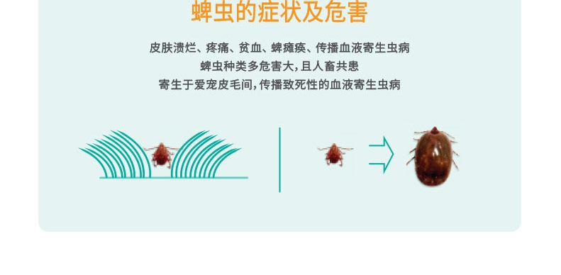 福来恩 猫用增效灭虱滴剂体外驱虫整盒装3支装 驱杀跳蚤蜱虫虫卵幼虫