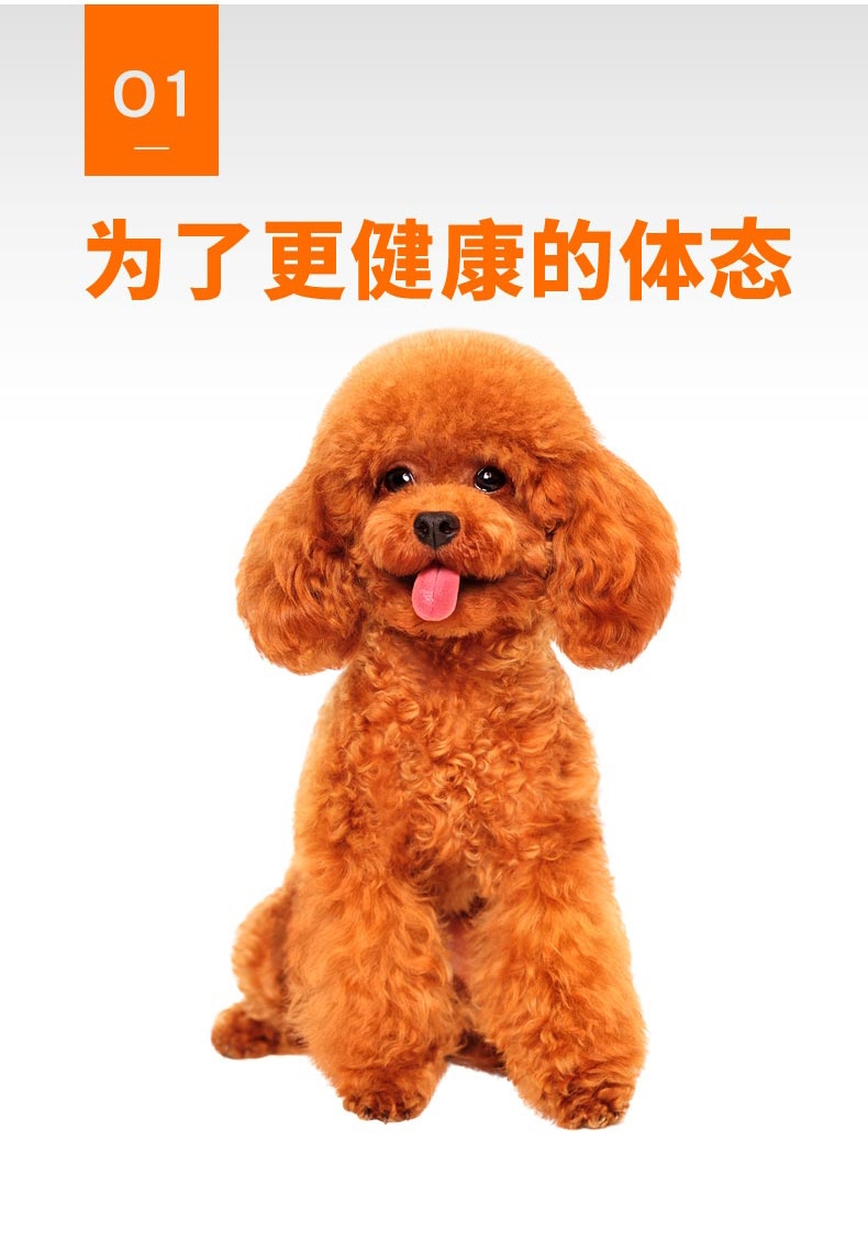 比瑞吉 小型犬成犬粮 10kg