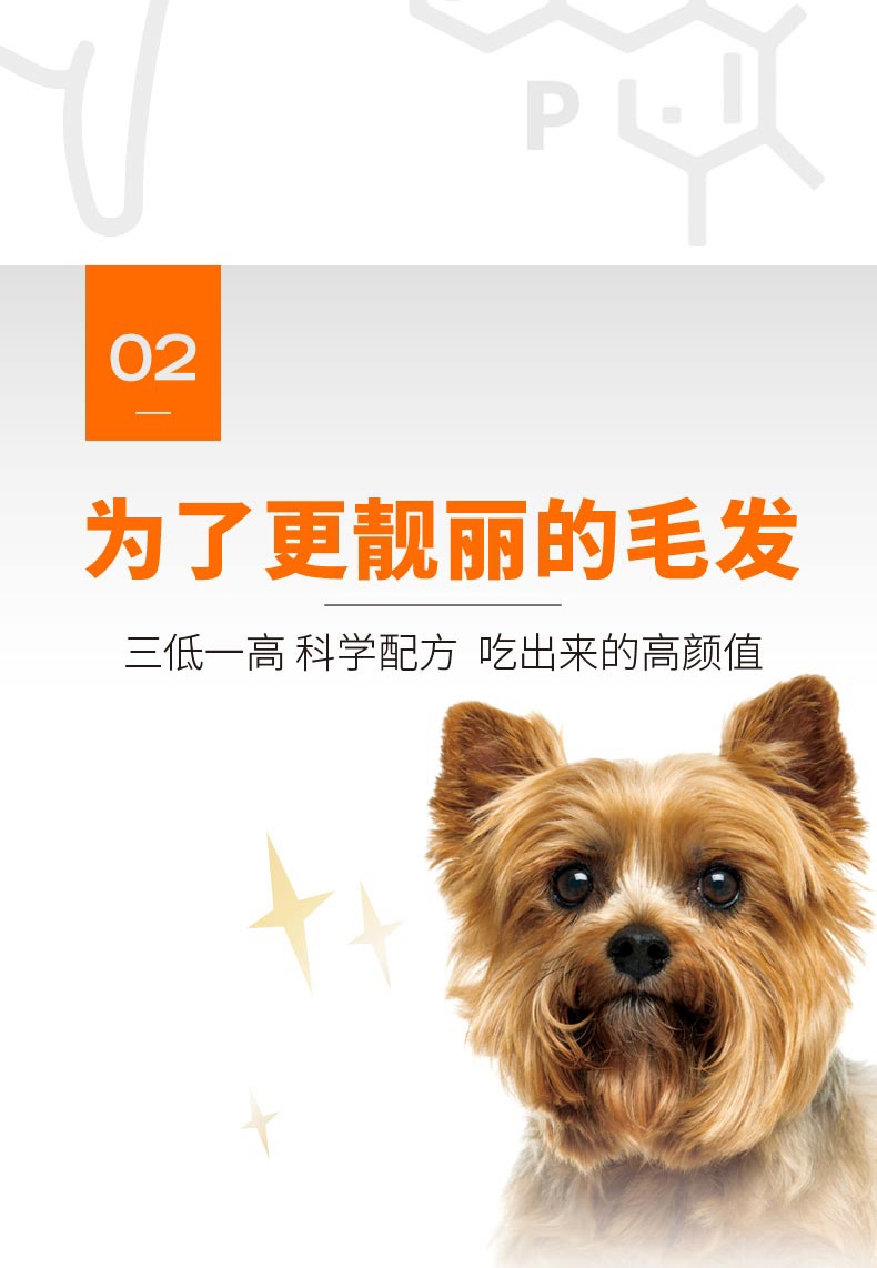 比瑞吉 小型犬成犬粮 10kg