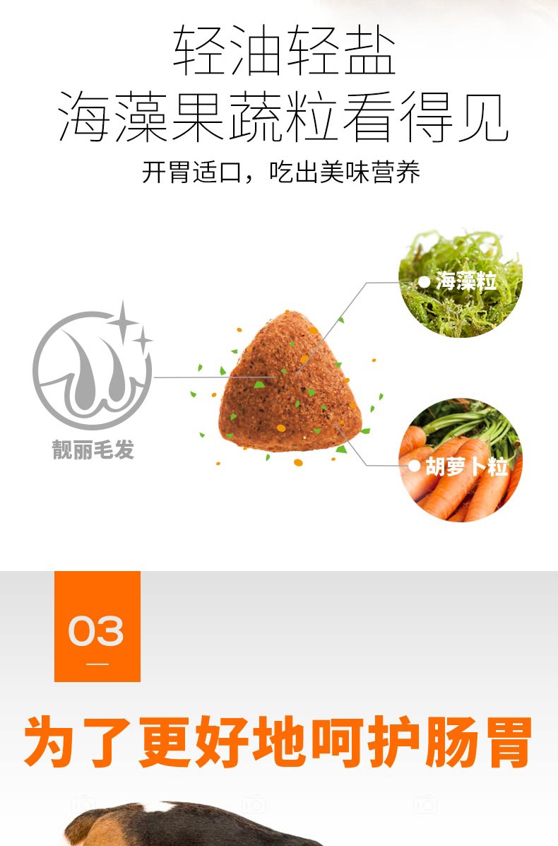 比瑞吉 小型犬成犬粮 10kg