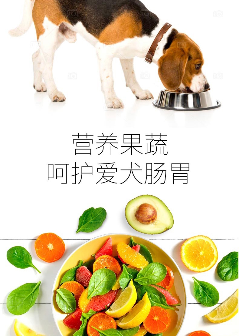 比瑞吉 小型犬成犬粮 10kg