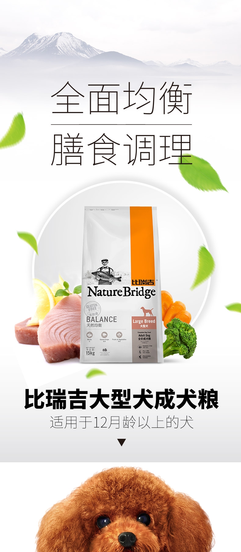 比瑞吉 大型犬成犬粮 15kg