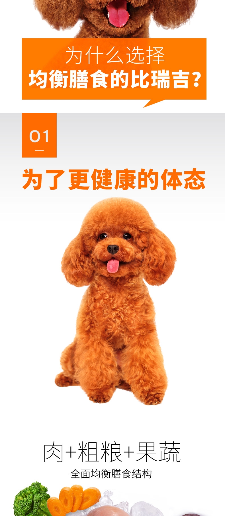 比瑞吉 大型犬成犬粮 15kg