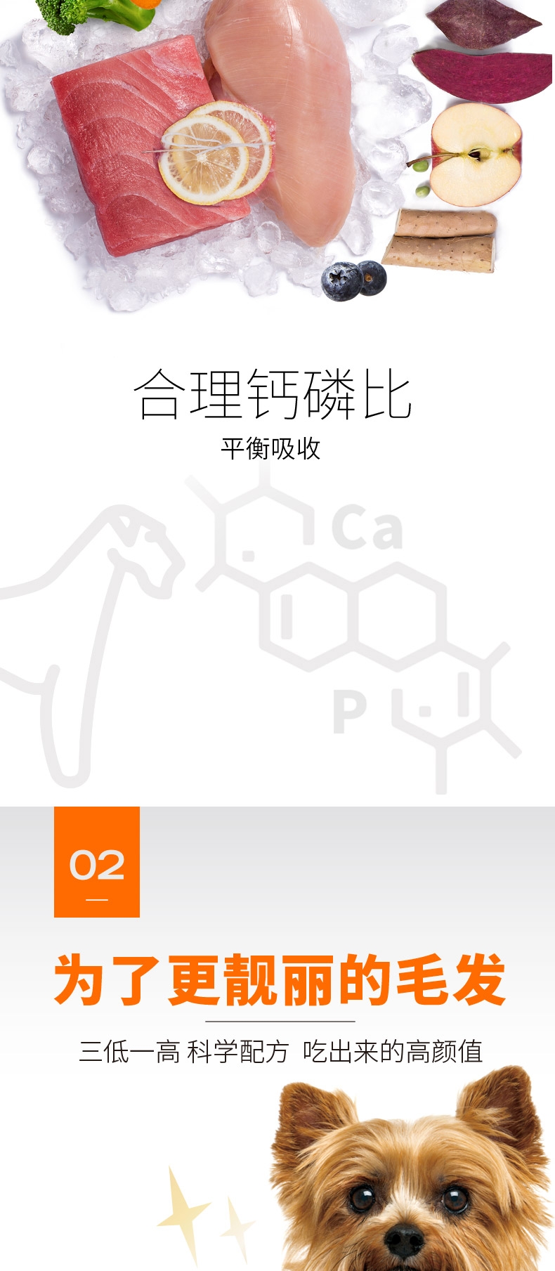 比瑞吉 大型犬成犬粮 15kg
