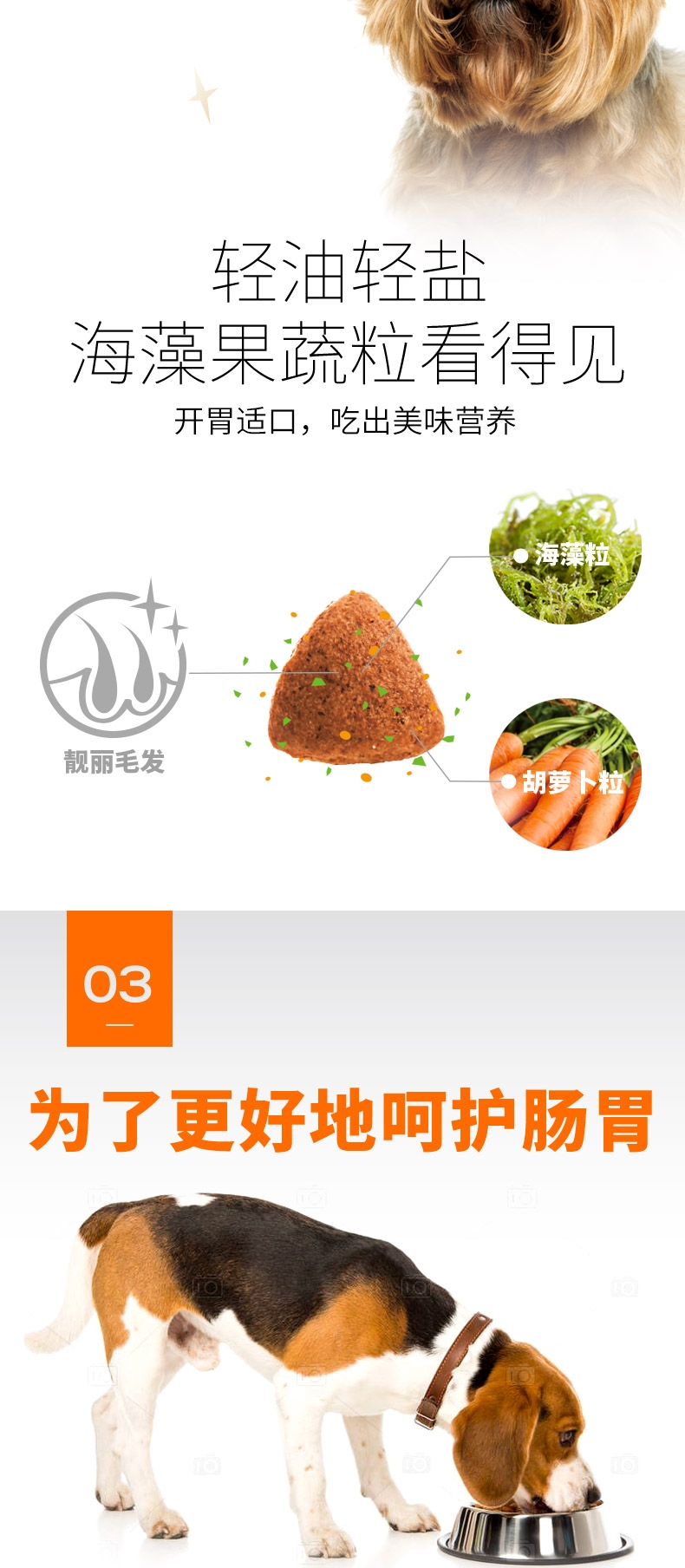 比瑞吉 大型犬成犬粮 15kg