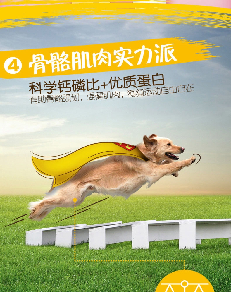 宝路Pedigree 牛肉蔬菜口味大龄犬犬粮 1.8kg