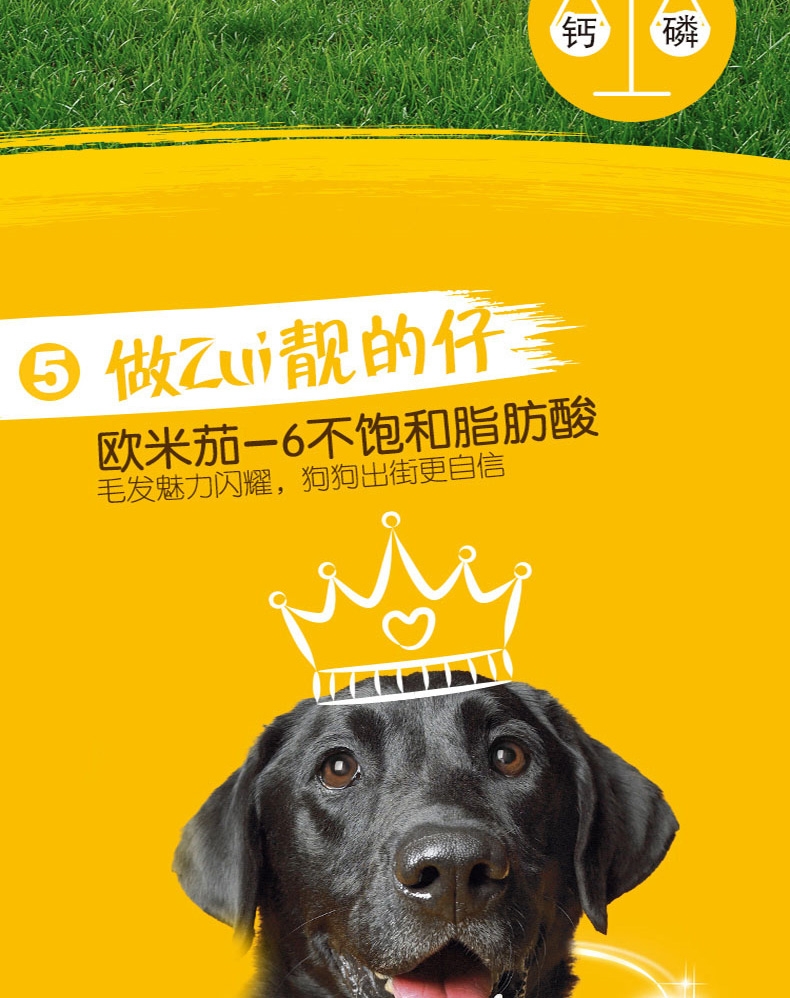 宝路Pedigree 牛肉蔬菜口味大龄犬犬粮 1.8kg