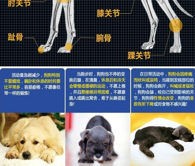 维斯康 速康关节膏120.5g 犬猫专用关节保护