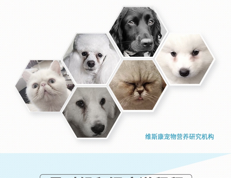 维斯康 亮洁护眼配方营养粉剂85g 犬猫通用