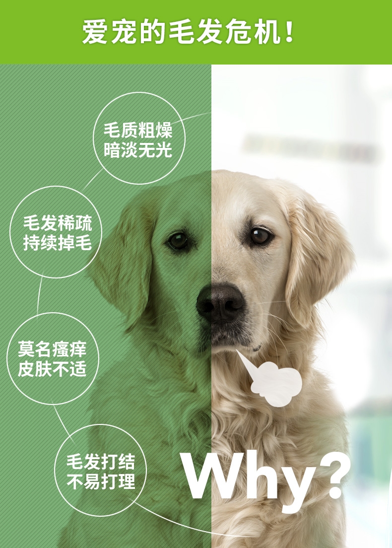麦德氏inplus 犬用蓝标超浓缩卵磷脂培根味 680g 李佳琦爱犬同款 美毛护肤爆毛