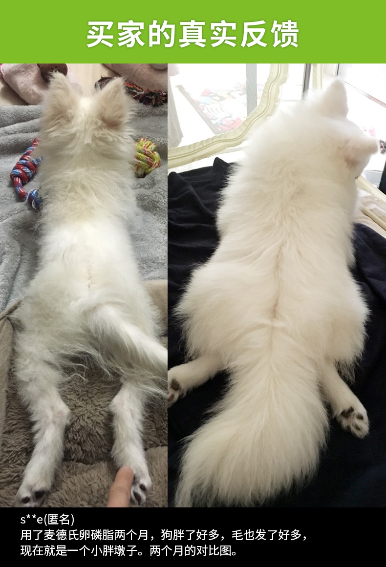 麦德氏inplus 犬用蓝标超浓缩卵磷脂培根味 680g 李佳琦爱犬同款 美毛护肤爆毛