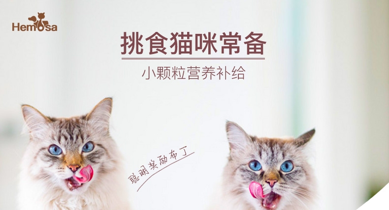 黑沙 猫用贝柱口味奖励布丁25g 猫湿粮单只拆卖 猫零食