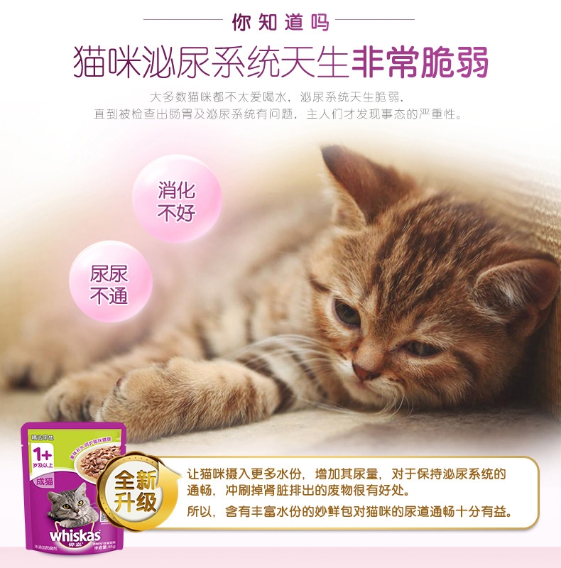 伟嘉 精选带鱼妙鲜包成猫湿粮包 85g