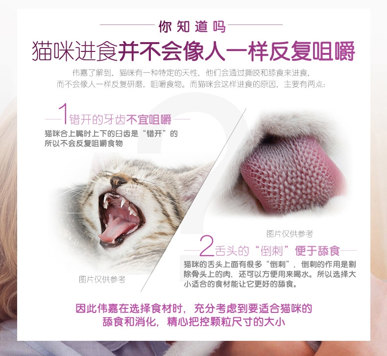 伟嘉 精选带鱼妙鲜包成猫湿粮包 85g