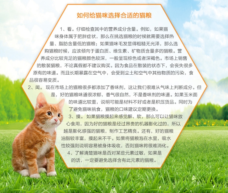 喜乐比 全期猫粮三文鱼+金枪鱼猫粮1.4kg
