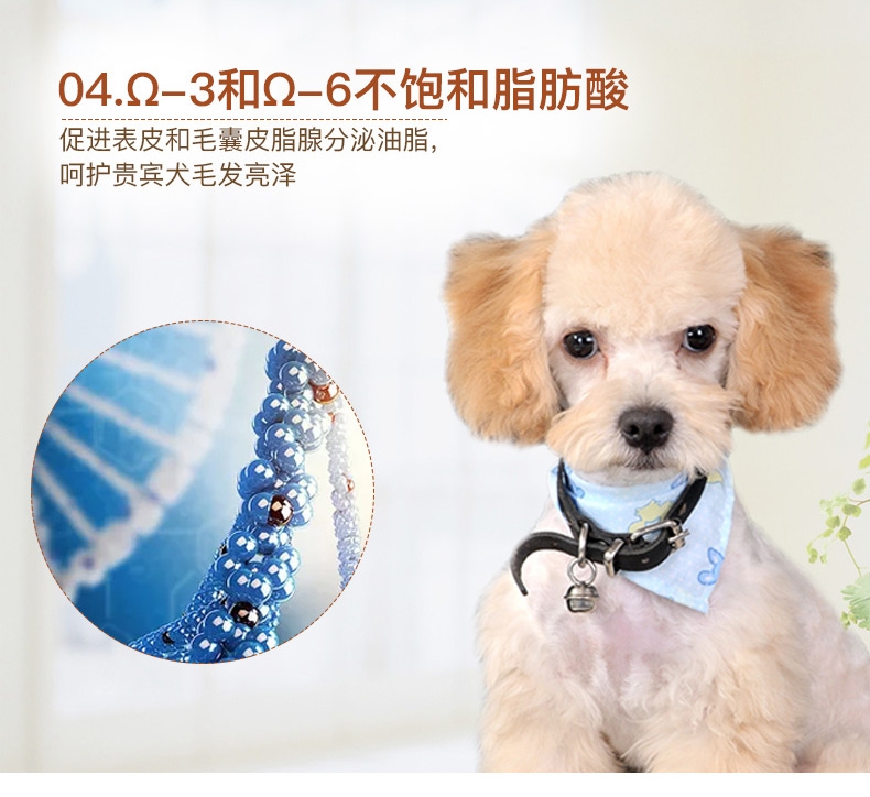 法国皇家ROYAL CANIN 泰迪贵宾成犬粮专用狗粮500g PD30