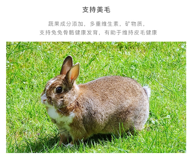 NEW AGE纽安吉 经典成兔粮1kg