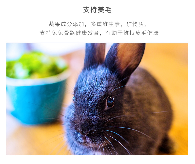 NEW AGE纽安吉 经典成兔粮1kg