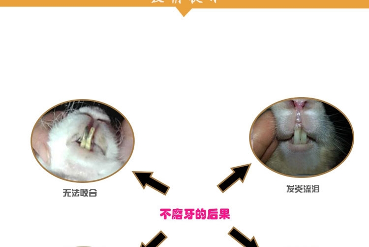 New Age纽安吉 小动物磨牙苹果枝 洁牙