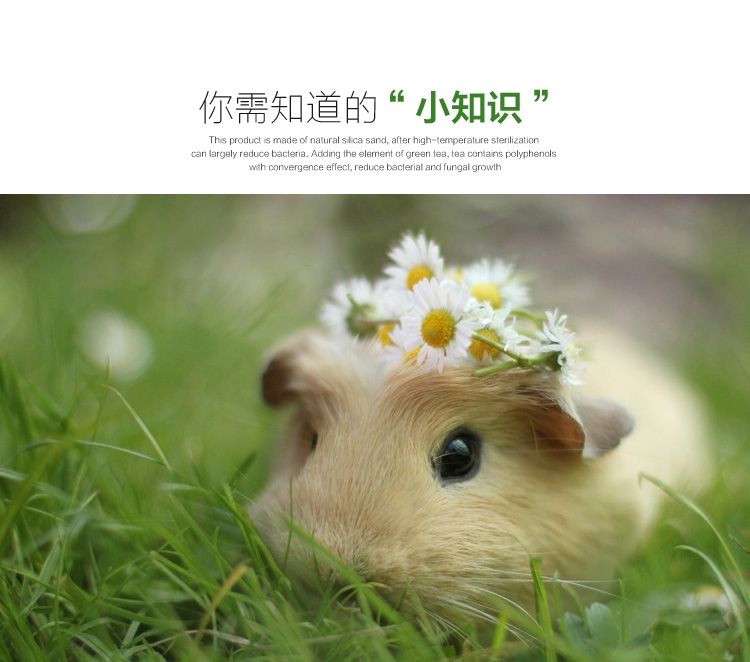 Minishow迷你秀绿茶味龙猫仓鼠洗澡砂2kg