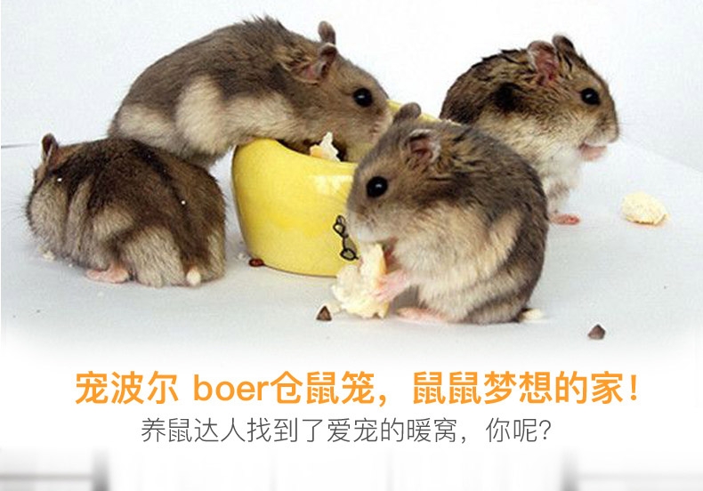 宠波尔 boer仓鼠笼仓鼠笼子仓鼠窝多种可选