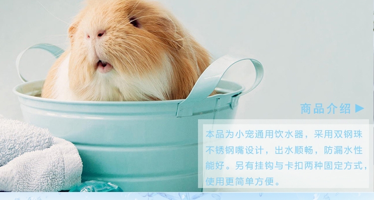 宠波尔 防漏钢珠头水樽仓鼠兔龙猫饮水器水壶